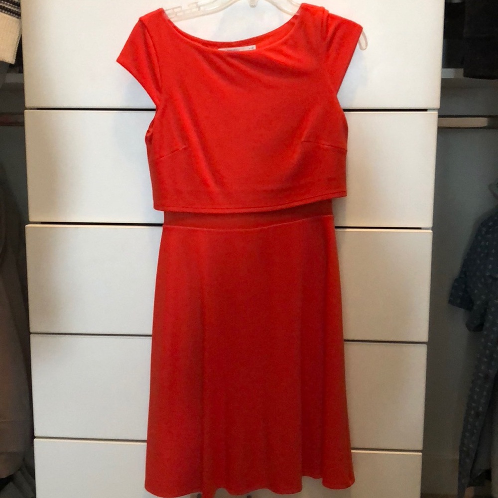 Bailey 44 mesh cut out Aline dress